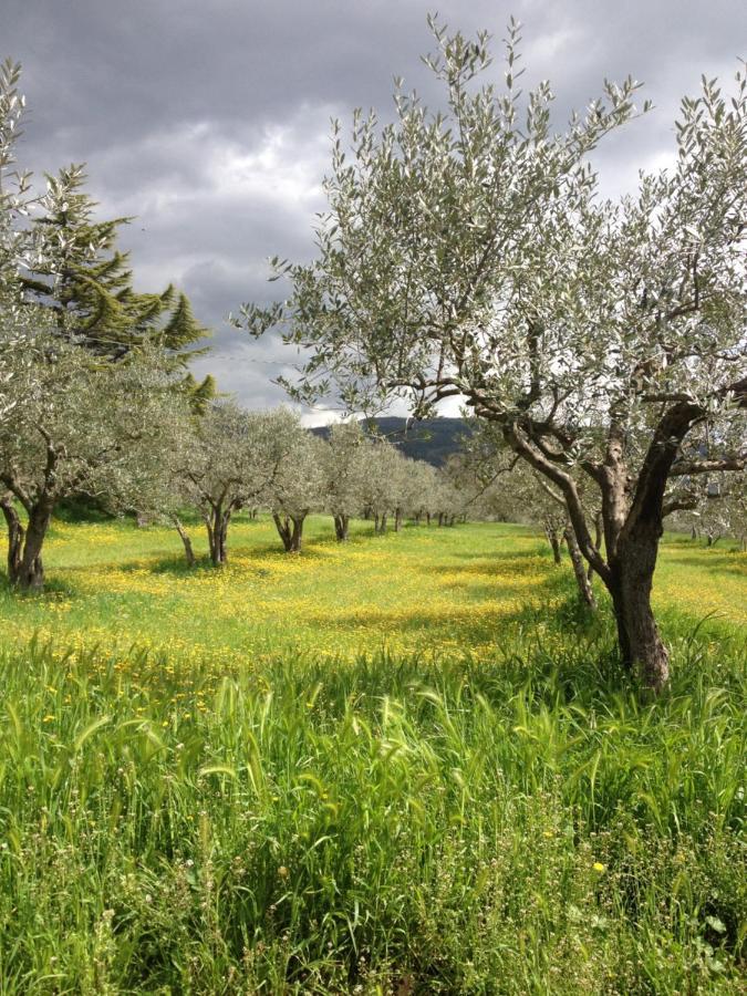 Gli Ulivi D'Argento Villa Assisi Kültér fotó